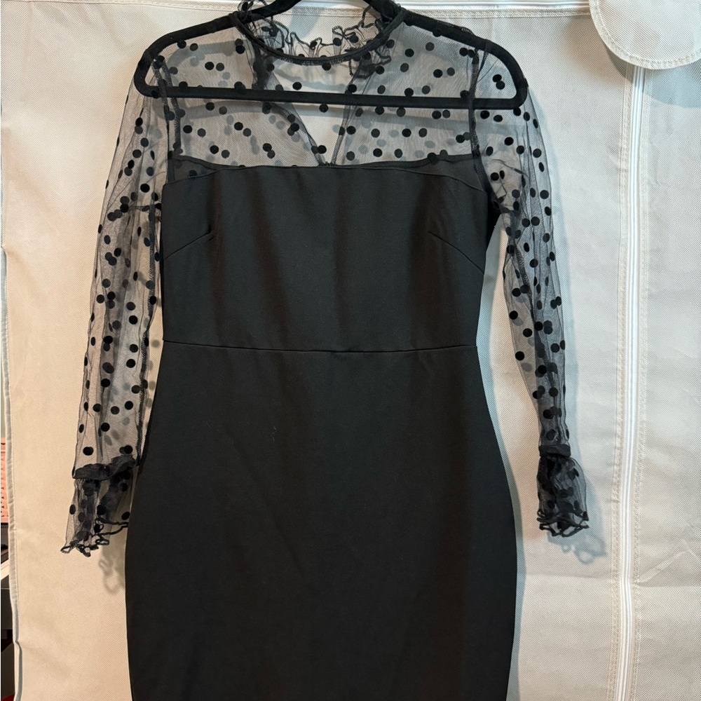 Elegant Black Polka Dot Mesh Dress
